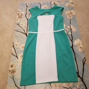 BEAUTIFUL SANDRA DARREN DRESS